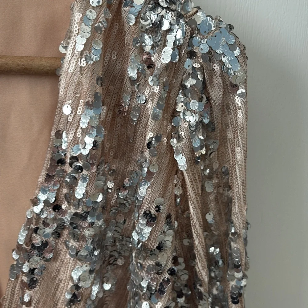 ASTR The Label Primadonna Silver & Tan Sequin Top - Small, 4 - 6 - Picture 4 of 14